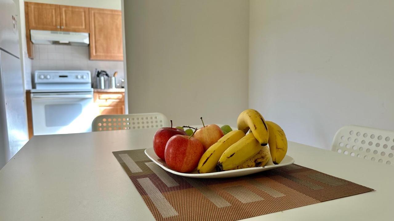 Homestay Cozy Near Busch Gardens Tampa